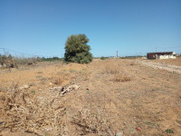 land-rent-boumerdes-ouled-hedadj-algeria