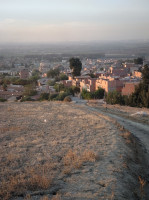 terrain-vente-blida-meftah-algerie