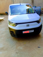 utilitaire-fiat-doblo-2024-professionnel-birkhadem-alger-algerie