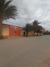 Vente Usine Tlemcen Maghnia
