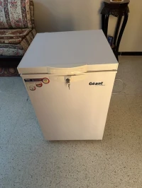 Congélateurs Géant 100L