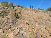 terrain-vente-bejaia-toudja-algerie