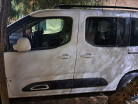 commerciale-citroen-berlingo-2019-ain-sefra-naama-algerie