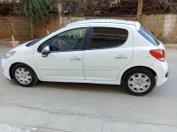 voitures-peugeot-207-2012-fennec-kouba-alger-algerie