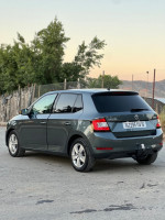 voitures-skoda-fabia-2019-ambition-boumerdes-algerie