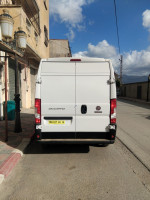 fourgon-fiat-ducato-2024-ain-el-hammam-tizi-ouzou-algerie