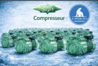 froid-climatisation-compresseur-bitzr-bordj-el-kiffan-alger-algerie