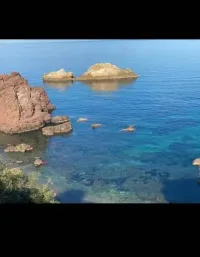 Location Appartement Tipaza Tipaza