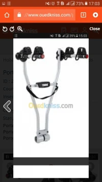 Porte velo thule