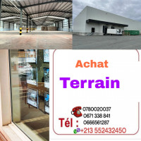 terrain-cherche-achat-ain-defla-algerie