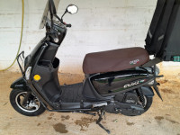 motos-et-scooters-okinoi-cuxi-2024-saoula-alger-algerie