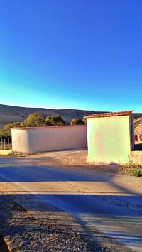 terrain-vente-ain-temouchent-kihal-algerie