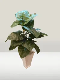 Plant artificial أشجار الزينة الصناعية 