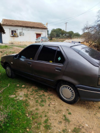 voitures-renault-19-1995-djendel-ain-defla-algerie