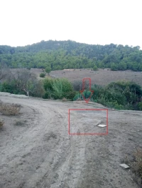 Vente Terrain Tipaza Cherchell