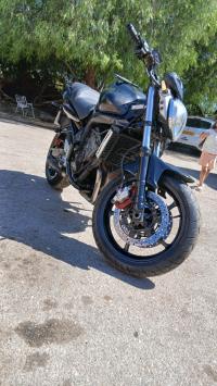 دراجات-نارية-وسكوترات-yamaha-fz6-الناظور-تيبازة-الجزائر
