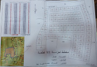 terrain-vente-setif-guidjel-algerie