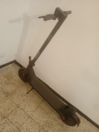 motos-et-scooters-xiaomi-lite-4-2025-staoueli-alger-algerie