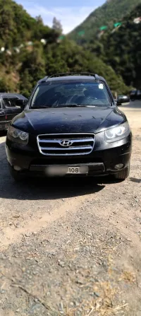 Hyundai SantaFe 2008 SantaFe