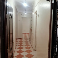 appartement-location-f3-ain-temouchent-algerie