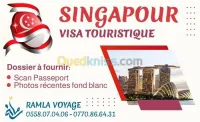 Visa Singapour 