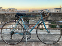 articles-de-sport-velo-course-peugeot-alger-centre-algerie