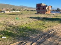 terrain-vente-skikda-azzaba-algerie