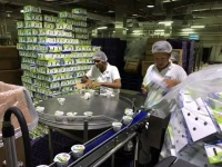 Technicien supérieur enMécanique alimentation générale