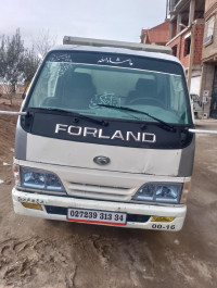 camion-forland-2013-bordj-bou-arreridj-algerie