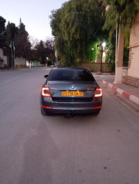 voitures-skoda-octavia-2014-djelfa-algerie