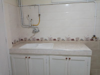 appartement-vente-f3-alger-les-eucalyptus-algerie