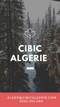 services-a-letranger-cibic-expertise-et-succes-dans-vos-demarches-dimmigration-au-canada-cheraga-alger-algerie