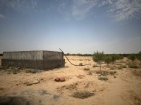 farmland-sell-biskra-chetma-algeria