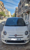 voitures-fiat-500-2023-club-setif-algerie