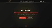 معلوماتية-و-أنترنت-developpeur-web-fullstack-php-laravel-vuejs-freelance-حيدرة-الجزائر