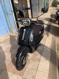Vms Benelli panarea 2022
