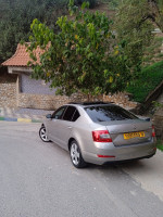 voitures-skoda-octavia-2016-elegance-irdjen-tizi-ouzou-algerie