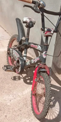 velo petite model