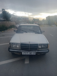 voitures-mercedes-123-1983-larbaa-blida-algerie