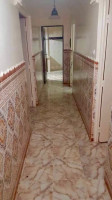 autre-vente-bien-immobilier-ain-temouchent-hammam-bouhadjar-algerie