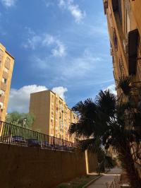 شقة-كراء-3-غرف-الجزائر-سعيد-حمدين