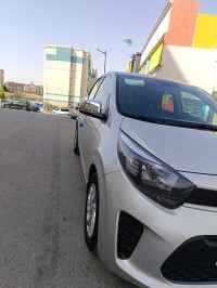 cars-kia-picanto-2019-lx-setif-algeria