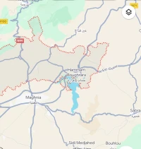 Vente Terrain Tlemcen Maghnia