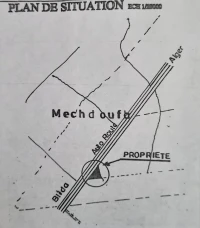 Vente Terrain Blida Guerrouaou