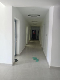 construction-travaux-de-faux-plafond-blida-algerie