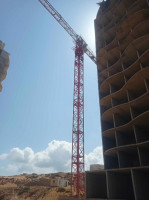 engin-size-grue-fix-2007-ain-mlila-oum-el-bouaghi-algerie