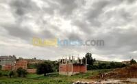 أرض-بيع-جيجل-قاوس-الجزائر