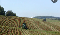 terrain-agricole-vente-ain-temouchent-algerie