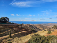 terrain-agricole-vente-oran-ain-el-turck-algerie