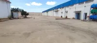 Location Hangar Oran Es senia